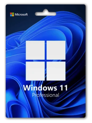 Microsoft Windows 11 Professionnel Global