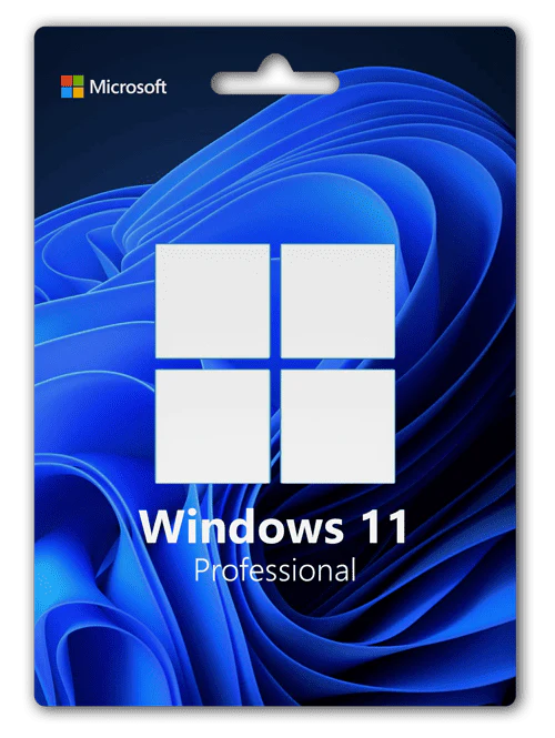 Microsoft Windows 11 Professionnel Global